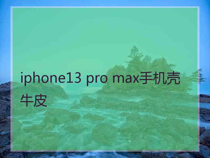 iphone13 pro max手机壳牛皮