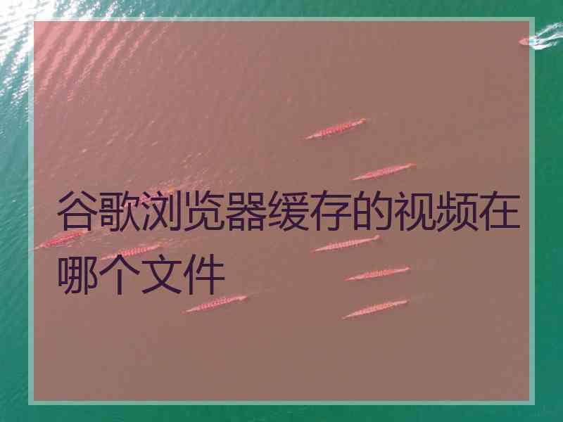 谷歌浏览器缓存的视频在哪个文件