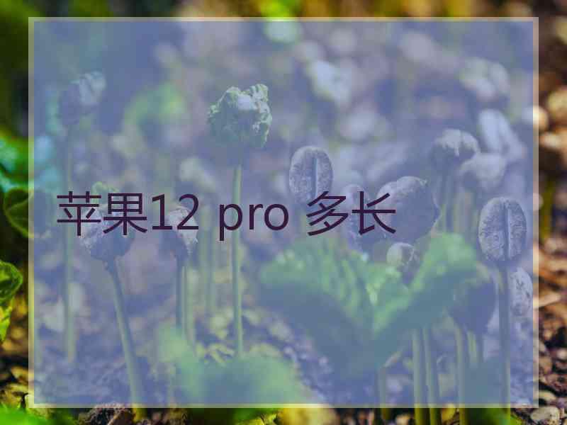 苹果12 pro 多长