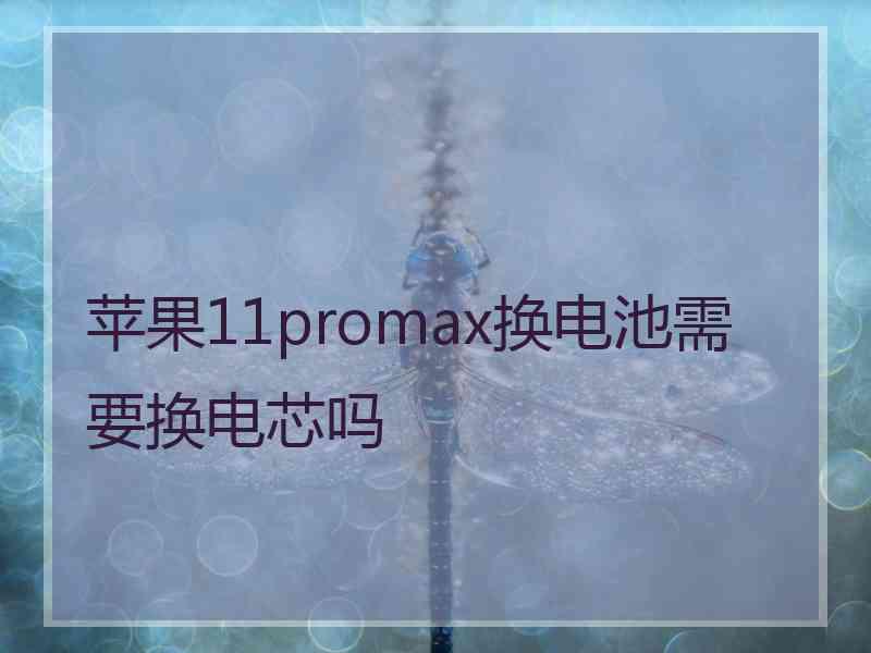 苹果11promax换电池需要换电芯吗