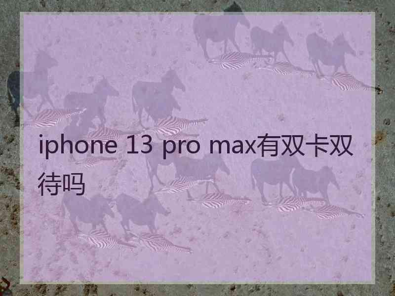 iphone 13 pro max有双卡双待吗