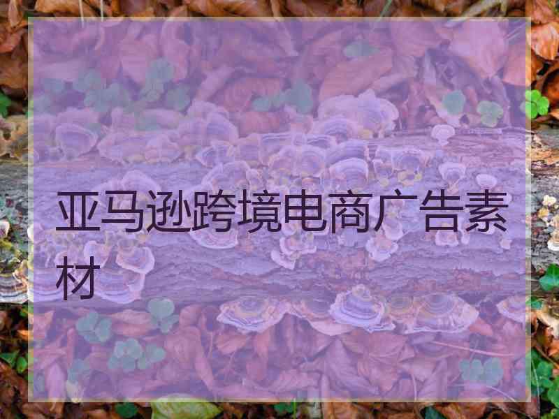 亚马逊跨境电商广告素材