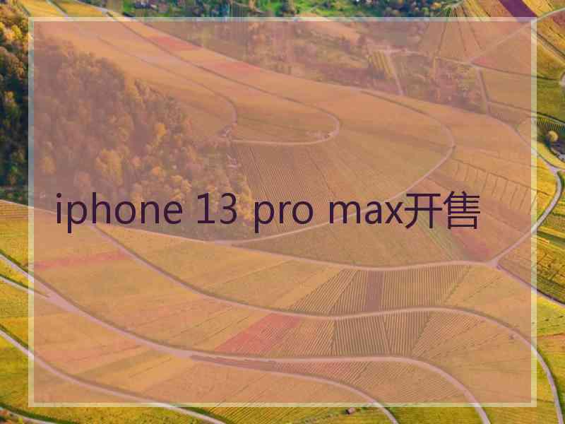 iphone 13 pro max开售