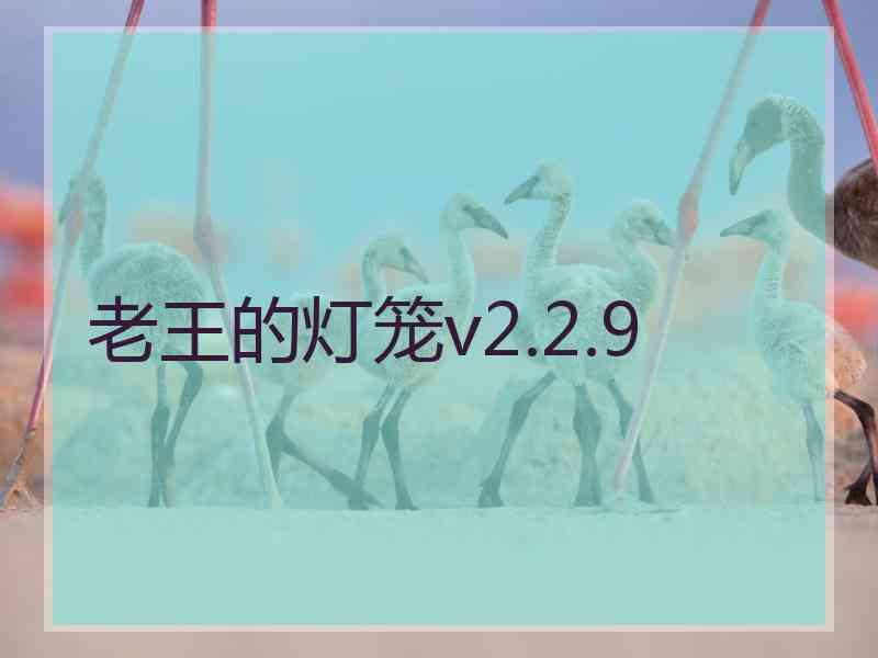 老王的灯笼v2.2.9