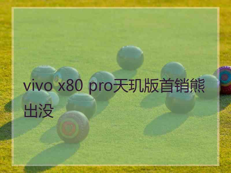 vivo x80 pro天玑版首销熊出没