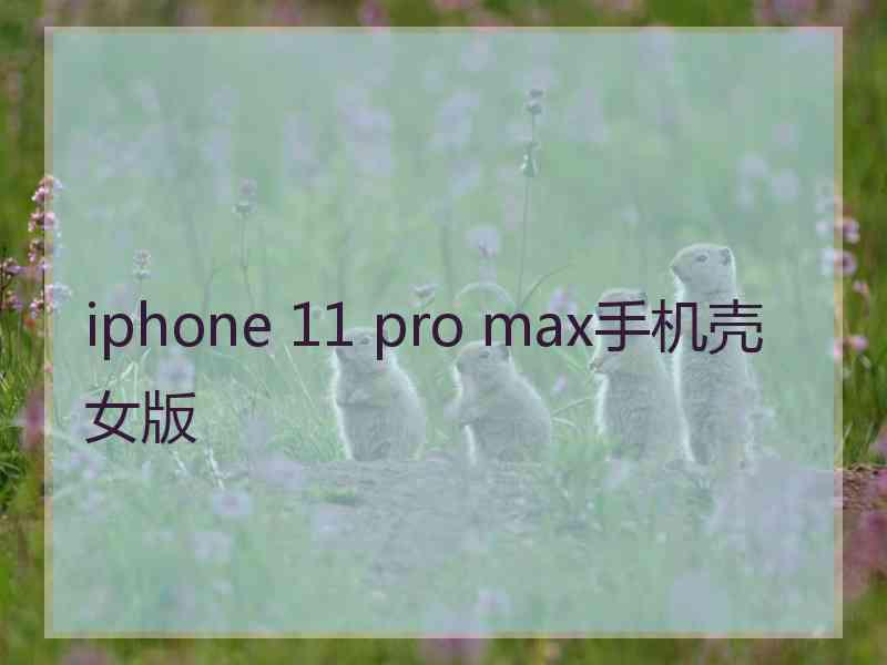 iphone 11 pro max手机壳女版