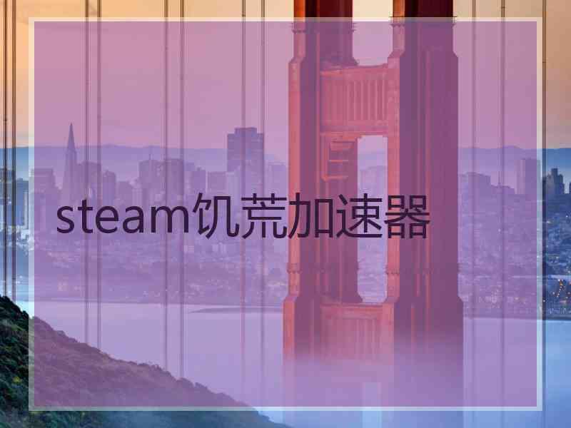 steam饥荒加速器