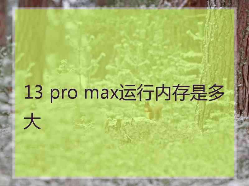 13 pro max运行内存是多大