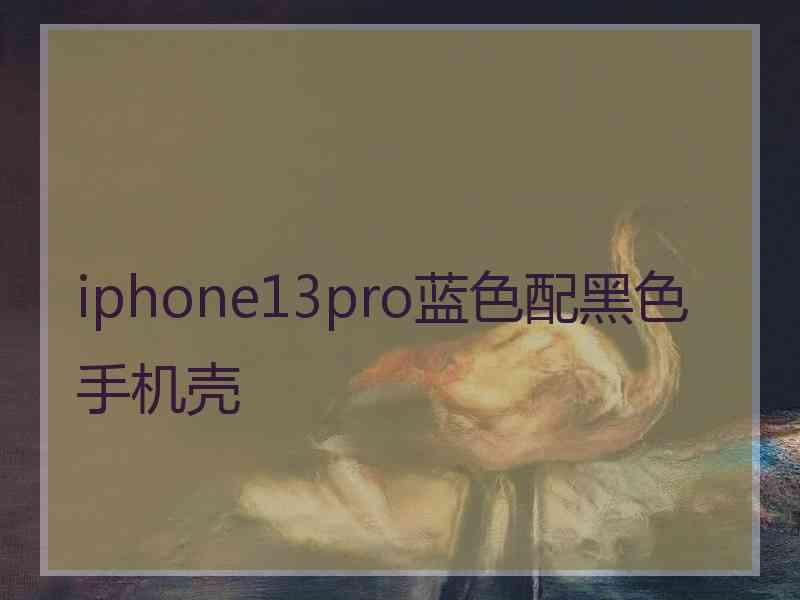 iphone13pro蓝色配黑色手机壳