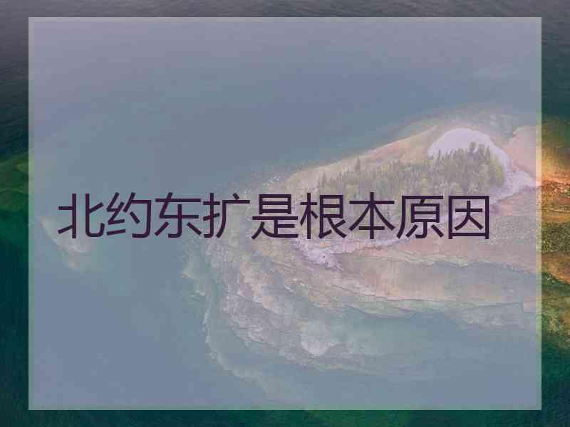 北约东扩是根本原因