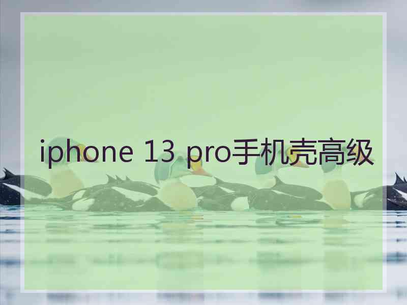 iphone 13 pro手机壳高级