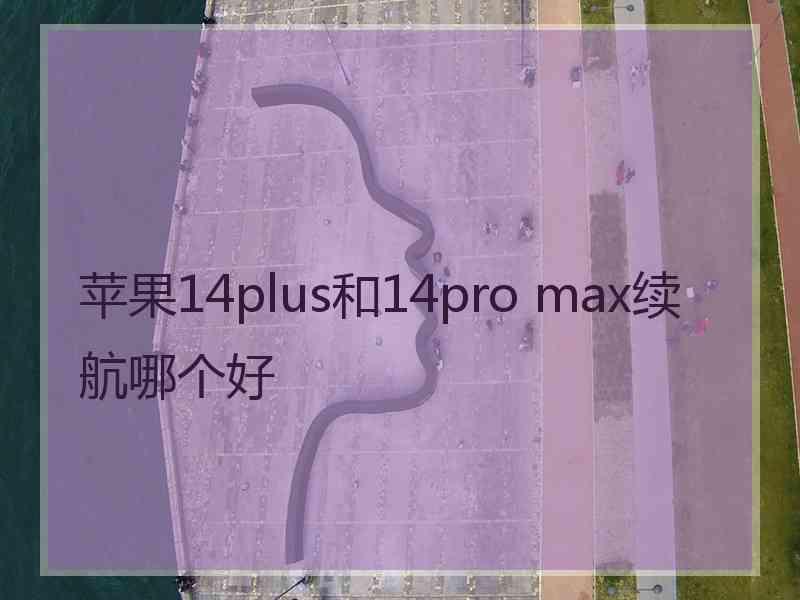 苹果14plus和14pro max续航哪个好