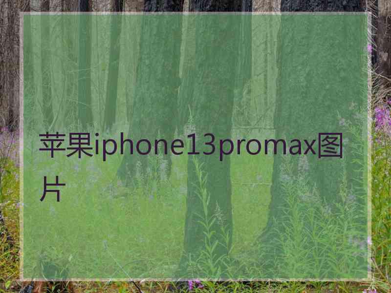 苹果iphone13promax图片