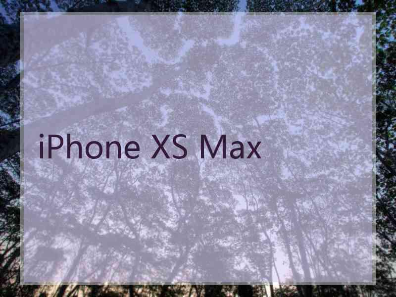 iPhone XS Max