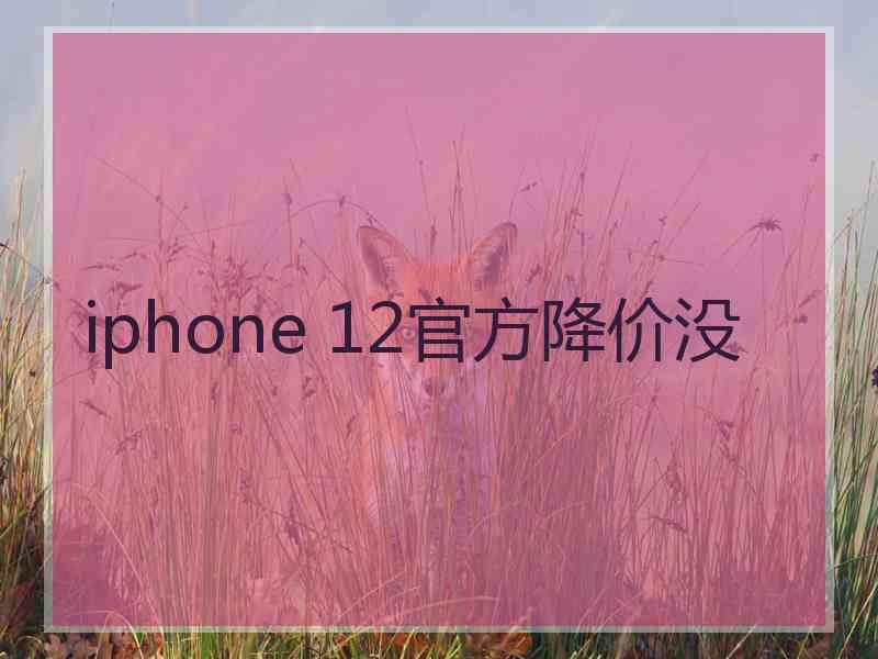 iphone 12官方降价没