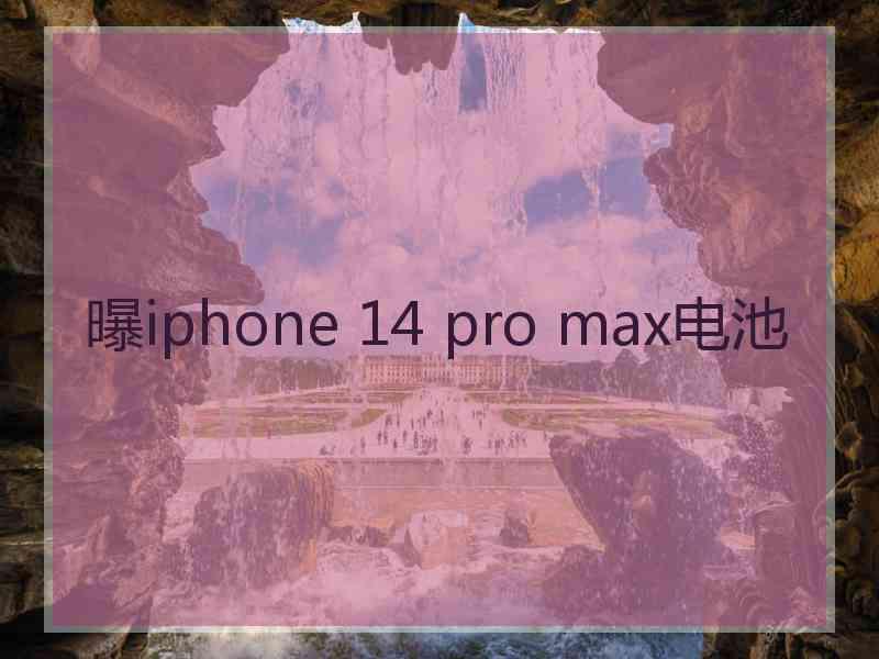 曝iphone 14 pro max电池