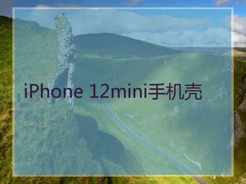 iPhone 12mini手机壳