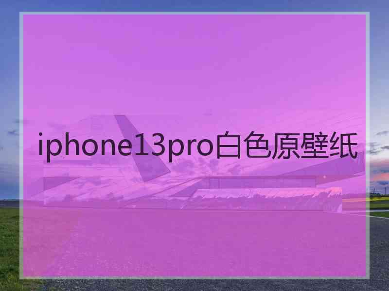 iphone13pro白色原壁纸