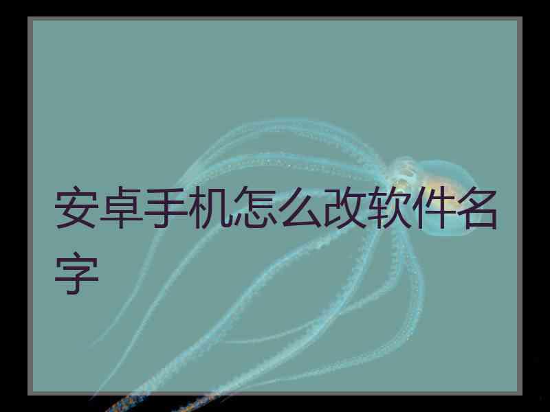 安卓手机怎么改软件名字