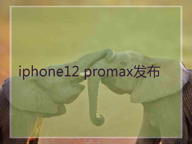 iphone12 promax发布