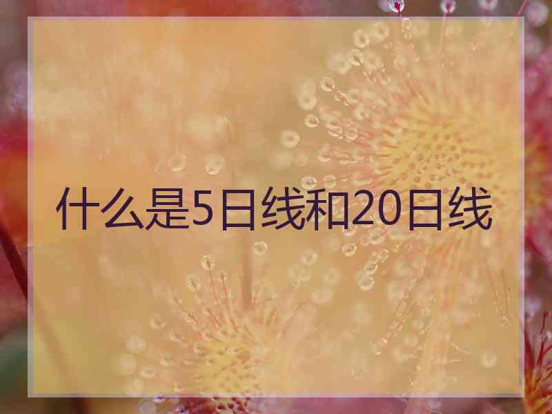 什么是5日线和20日线