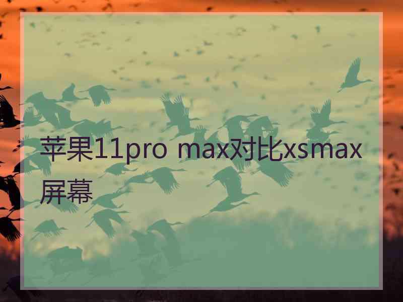 苹果11pro max对比xsmax屏幕