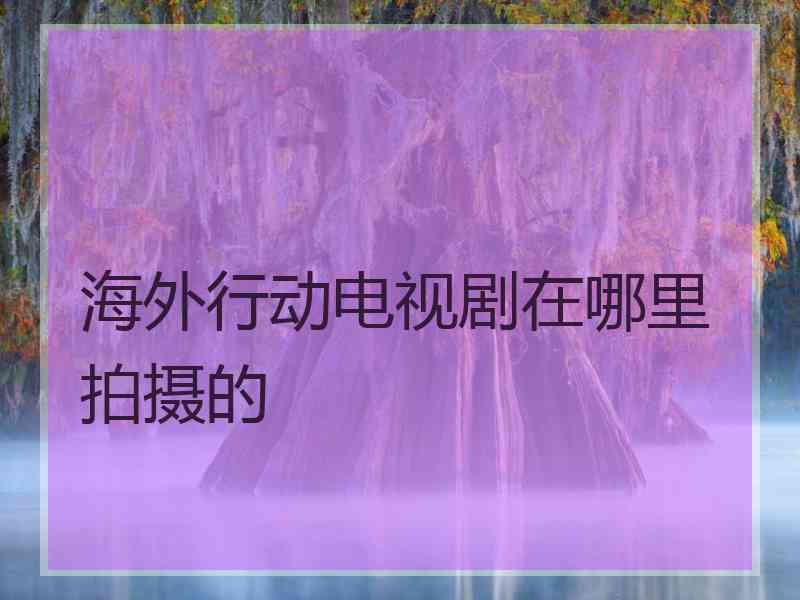 海外行动电视剧在哪里拍摄的