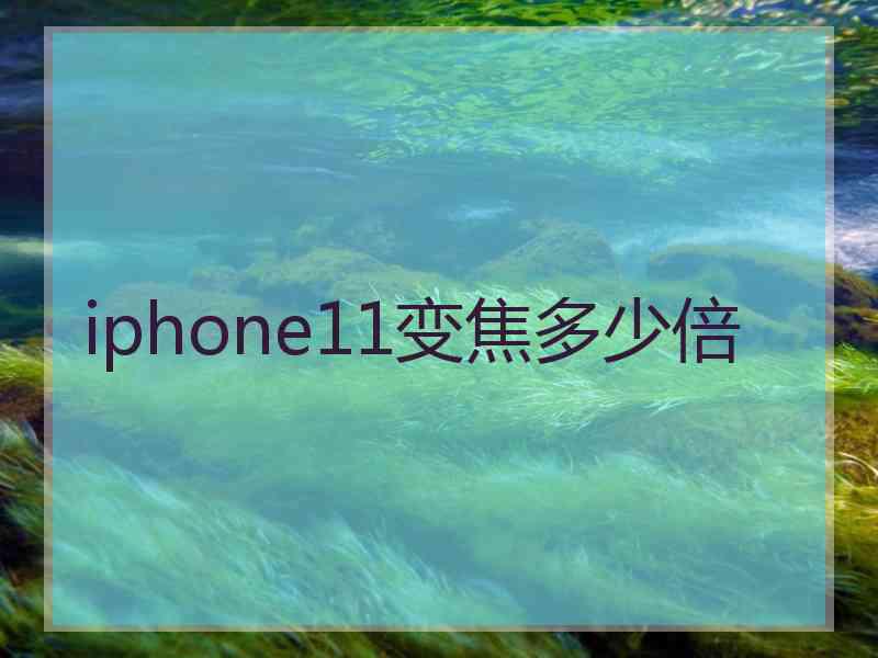 iphone11变焦多少倍