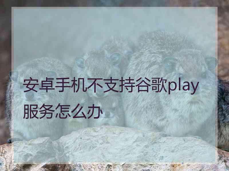 安卓手机不支持谷歌play服务怎么办