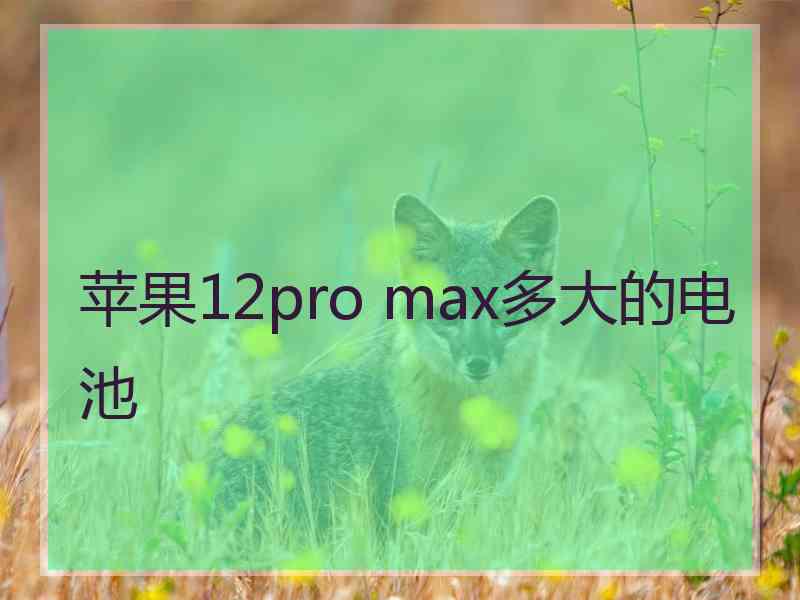 苹果12pro max多大的电池