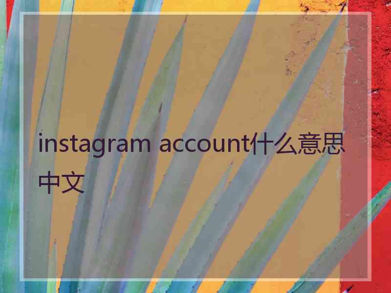 instagram account什么意思中文