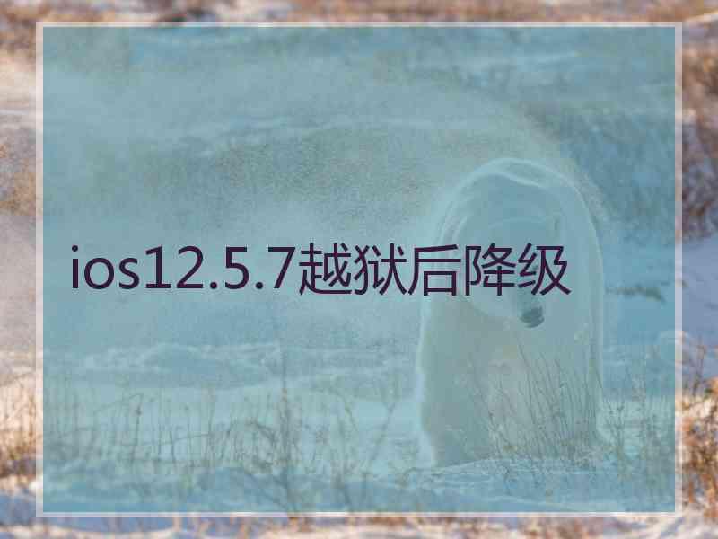 ios12.5.7越狱后降级