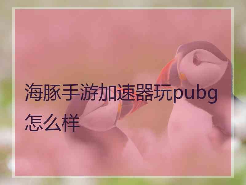 海豚手游加速器玩pubg怎么样