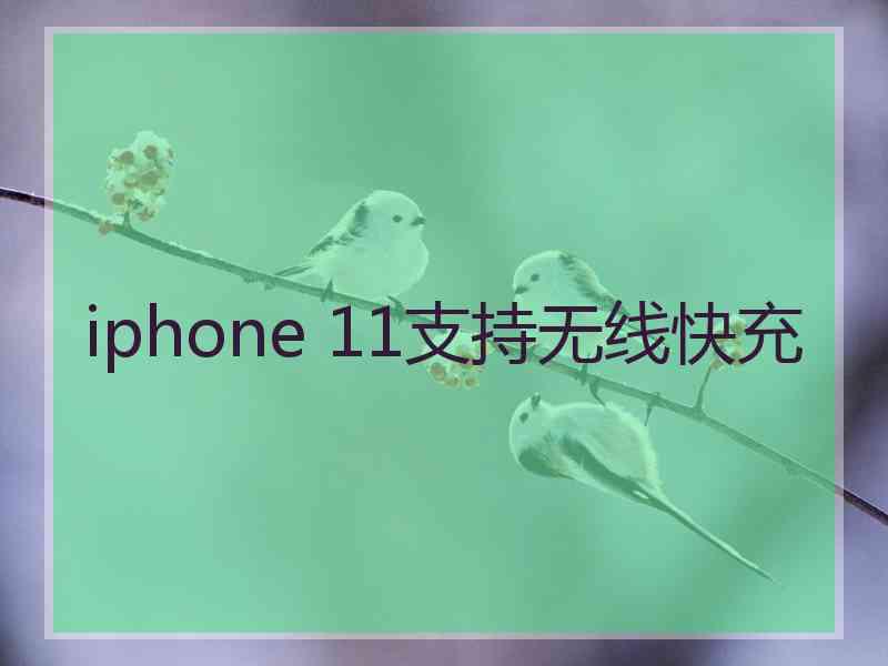 iphone 11支持无线快充