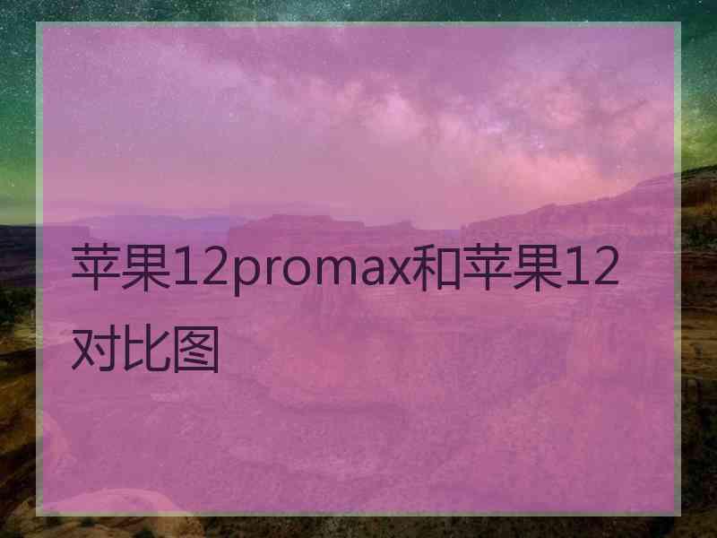 苹果12promax和苹果12对比图