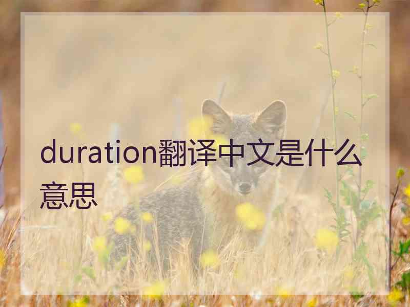 duration翻译中文是什么意思