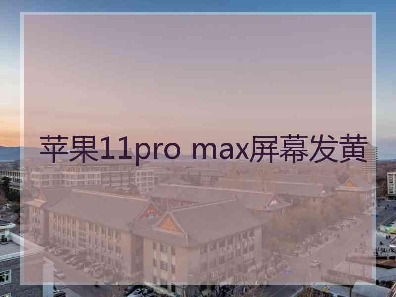 苹果11pro max屏幕发黄