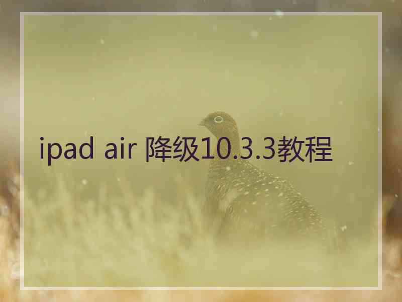 ipad air 降级10.3.3教程