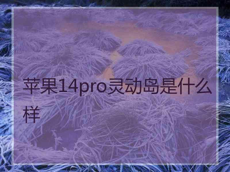 苹果14pro灵动岛是什么样