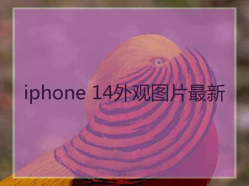 iphone 14外观图片最新