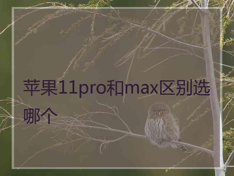 苹果11pro和max区别选哪个