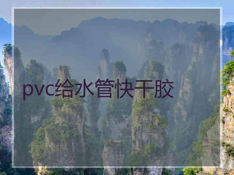 pvc给水管快干胶