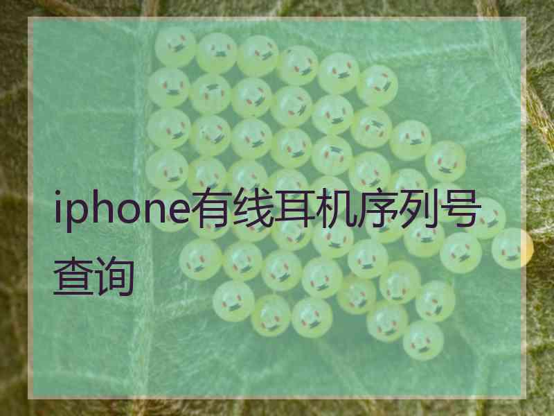 iphone有线耳机序列号查询