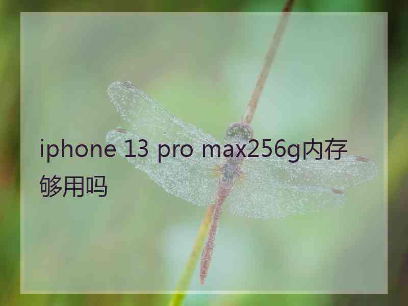 iphone 13 pro max256g内存够用吗