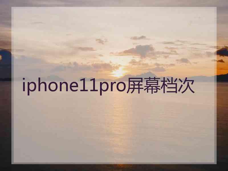 iphone11pro屏幕档次