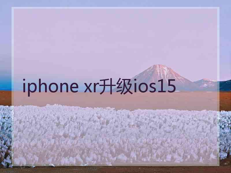 iphone xr升级ios15