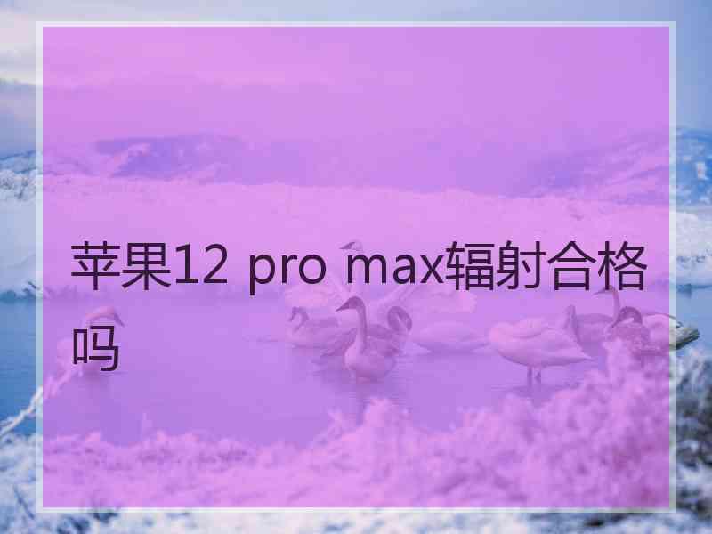 苹果12 pro max辐射合格吗