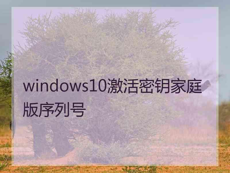 windows10激活密钥家庭版序列号