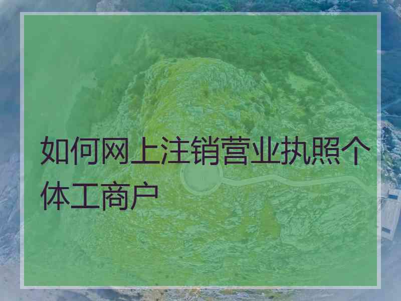 如何网上注销营业执照个体工商户