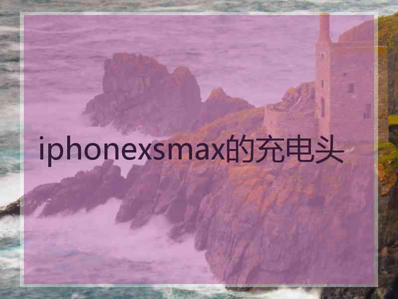 iphonexsmax的充电头